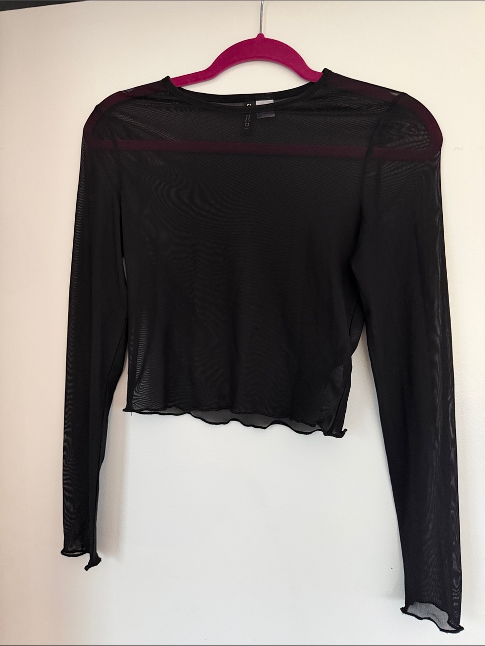 H&M Black Sheer Long-Sleeve Crop Top
